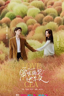 朝城网站优化哪家好